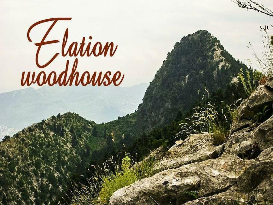 Elation Woodhouseアパートメント エクステリア 写真